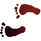 6F0FEETL.GIF