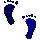 4FCFEETU.GIF