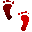 3F1FEETU.GIF