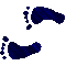 6JCFEETL.GIF