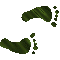 6J6FEETR.GIF