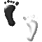 62JFEETU.GIF