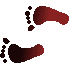 7C0FEETL.GIF