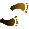 6CFFEETR.GIF