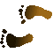 6CFFEETL.GIF
