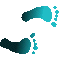 6C9FEETR.GIF