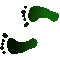 6C8FEETL.GIF