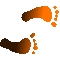 6C2FEETR.GIF