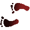 6C0FEETL.GIF