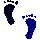4CCFEETU.GIF