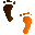 3C2FEETU.GIF