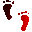 3C1FEETU.GIF