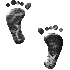 77GFEETU.GIF