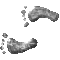 67HFEETL.GIF