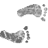 7HHFEETR.GIF