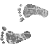 7HHFEETL.GIF