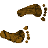 7HFFEETR.GIF