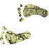 7H4FEETL.GIF