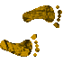 7H3FEETR.GIF