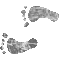 6HHFEETL.GIF