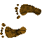 6HFFEETL.GIF