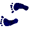 6HCFEETL.GIF