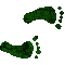 6H8FEETR.GIF
