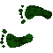 6H8FEETL.GIF