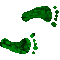 6H7FEETR.GIF