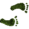 6H6FEETR.GIF