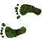 6H6FEETL.GIF