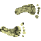 6H4FEETR.GIF