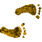 6H3FEETR.GIF