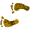 6H3FEETL.GIF