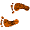 6H2FEETL.GIF