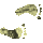 4H4FEETR.GIF