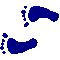 6ACFEETL.GIF