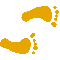 6A3FEETR.GIF