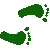 5A8FEETR.GIF