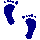 4ACFEETU.GIF