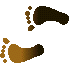 7DFFEETL.GIF