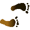 6DFFEETR.GIF