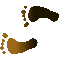 6DFFEETL.GIF