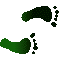 6D8FEETR.GIF