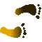 6D3FEETR.GIF