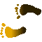 6D3FEETL.GIF