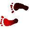 6D1FEETL.GIF