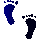 4DCFEETU.GIF