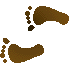 7BFFEETL.GIF