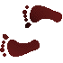 7B0FEETL.GIF